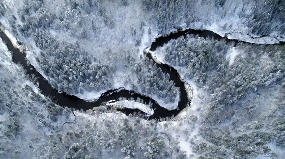 Brasla River, the Gauja National Park, Latvia. Photo: Gunārs Dukšte