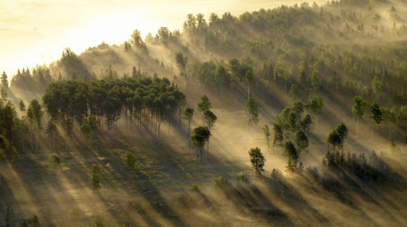 Sunrise in fog near Sigulda, Latvia. Photo: Gunārs Dukšte