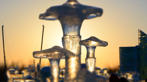 The creation process of "Mushroom Pickers". Photo: Li Ke Ren